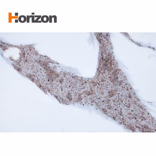 New Look Black Marquina Artificial Quartz Stone Slabs with White Veins